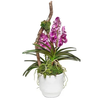 Glendale Pot With Double Vanda