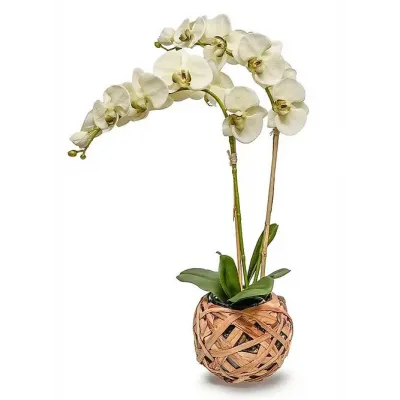 8" Reed/Glass Bowl With Double Pale Green Orchids