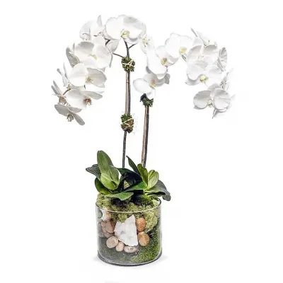 Glass Cylinder With Orchids/ Geode Crystals