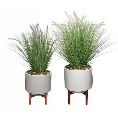 Set of 2 Fountain Grass Pots