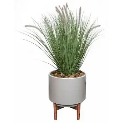 Set of 2 Fountain Grass Pots