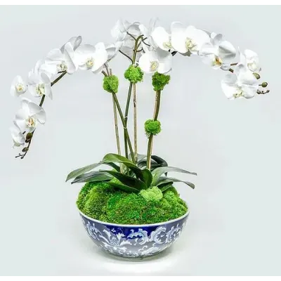 Blue/White Bowl With Triple Orchids