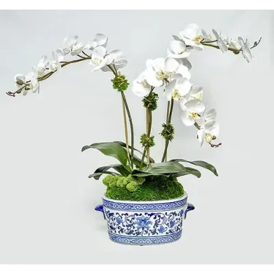 Blue/White Oval Bowl With Triple Orchids