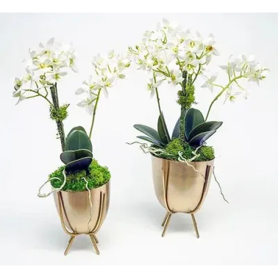Set of 2 Gold Planter Stands With Mini Orchids