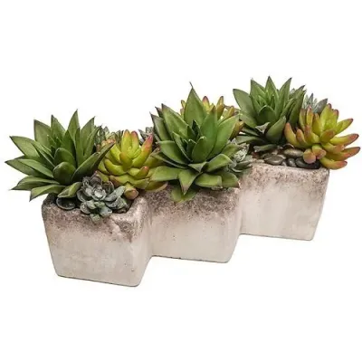 Triple Planter With Succulents