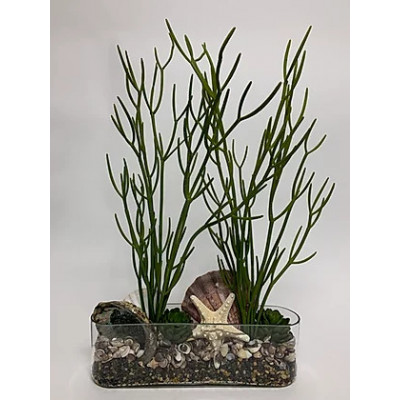 Shell/Firestick in Oval 14" Glass