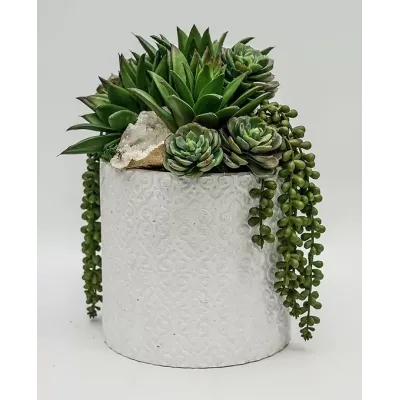 Succulents/Crystal in White Pot