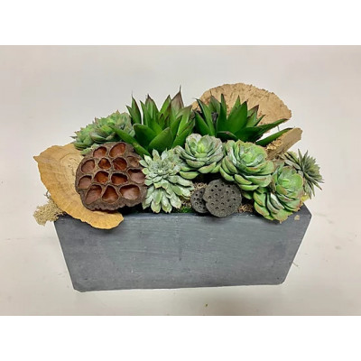 Succulents/Dried in Low Cement 14" x 8"