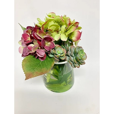 Hydrangea, Succulent in Small Pyramid Glass 12" x 10"