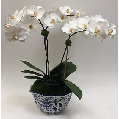 Triple Orchid in Blue and White Hexagonal Bowl 27" x 23"