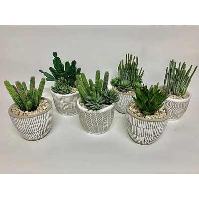Set of Six Succulent Pots 6" x 10"