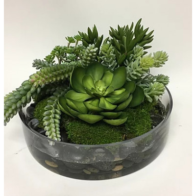 Succulents in Glass Bowl 13" x 8"