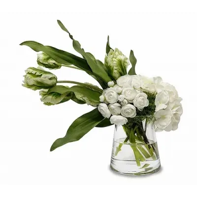 Parrot Tulip/Hydrangea/Ranunculus in Glass