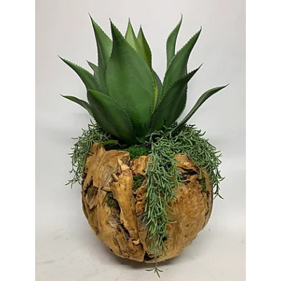 Agave Bowl
