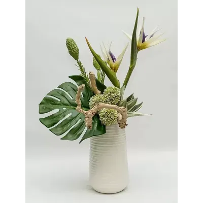 White Bird/Allium20