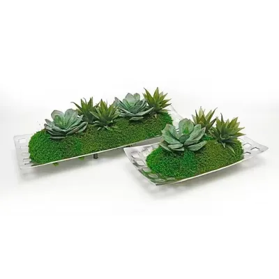 Silver Lattice Set/2 Succulent