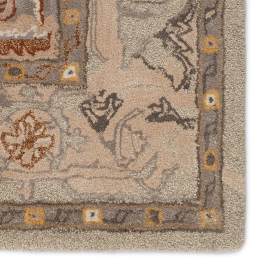 CIT12 Citrine Raisa Taupe/Gold Rugs