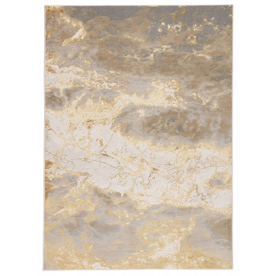 CTY02 Catalyst Cisco Gray/Gold Rugs