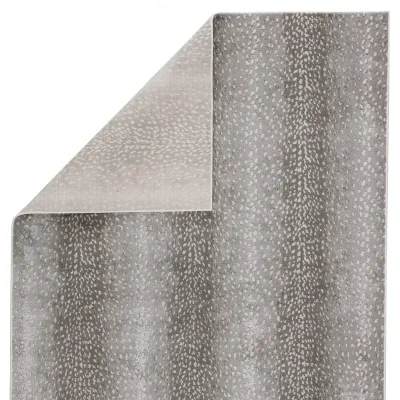 CTY08 Catalyst Axis Gray/Natural Rugs