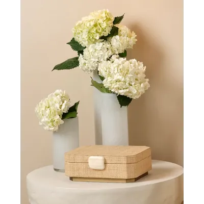 Eden Box - Natural