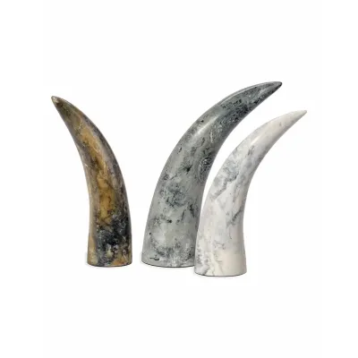 Varigated Horn Decorative Objects