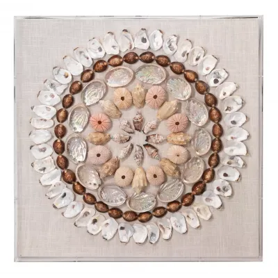 Bondi Acrylic Wall Art, Multi-Colored Shells