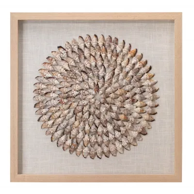 Riviera Framed Wall Art, Beige Simnia Shell