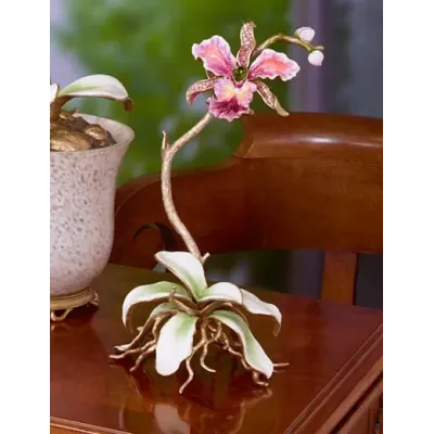 Marietta Orchid Objet - Flora (Special Order)