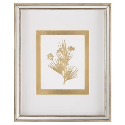 Golden Botanicals VII