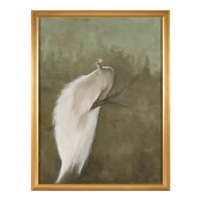 Debra Ferrari's The White Peacock