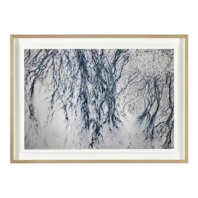 Rodney Bursiel's Tributaries No. 1