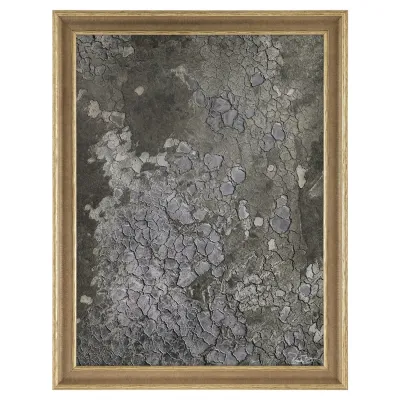 Rodney Bursiel's Salt Fields