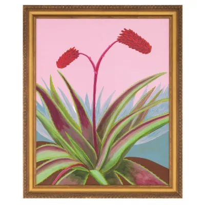 Michael Pfleghaar's Candelabra Aloe