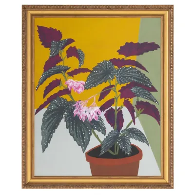 Michael Pfleghaar's Polka Dot Begonia