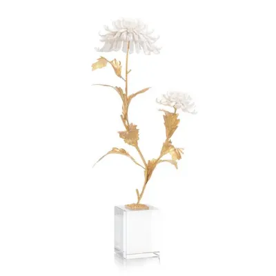 Avignon Chrysanthemums