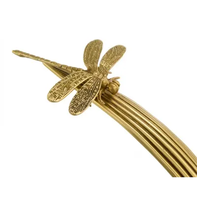 Dragonfly on Lemongrass