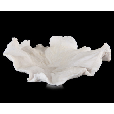 Floating Wave Bowl