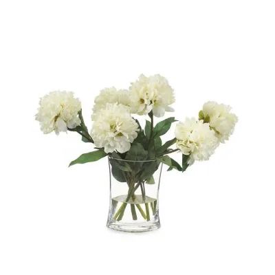 Heavenly Peonies