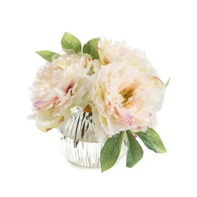 Dazzling Peonies