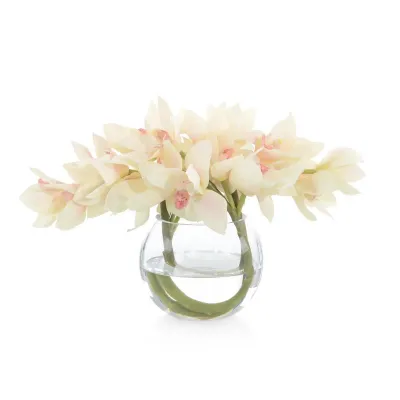 Cymbidium Twist