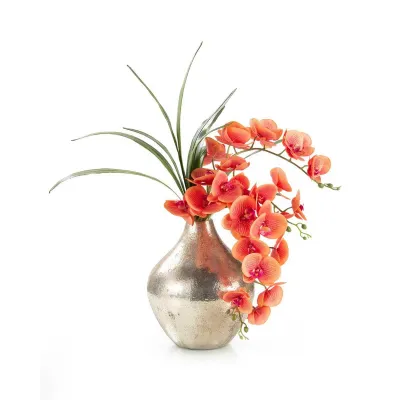 Happy Orchids