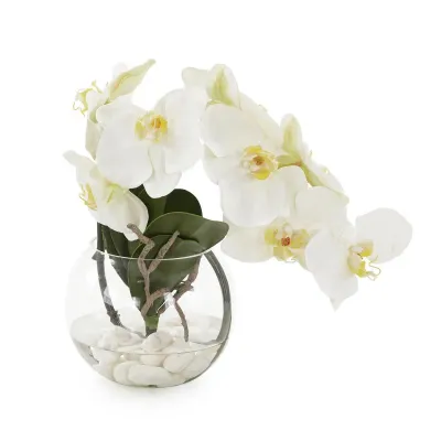 Aqua White Orchid 10"H X 12"W X 8"D