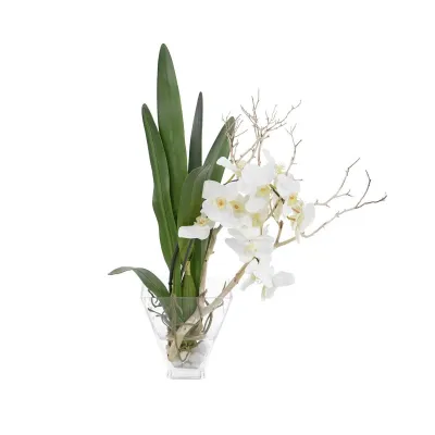 Orchids in Bloom 28"H X 27"W X 16"D