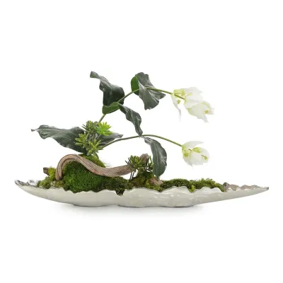 Moss & Medinilla Orchid 24"H x 38"W x 18"D