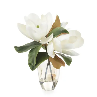 Glowing Magnolias 17"H x 15"W x 13"D