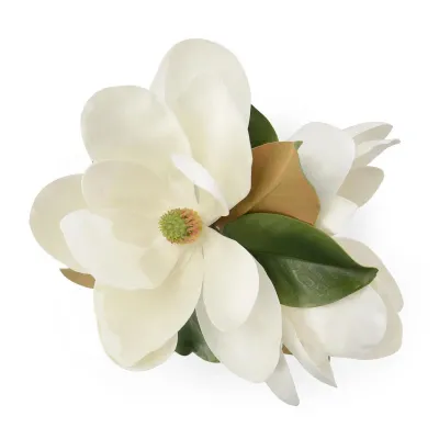 Glowing Magnolias 17"H x 15"W x 13"D