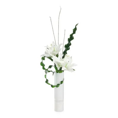 White Lily Elegance