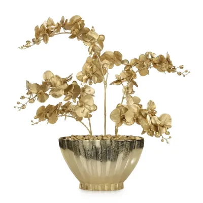 Golden Radiance