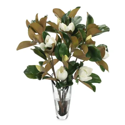 Summer Magnolia Blooms