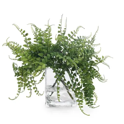 Miniature Forest Fern